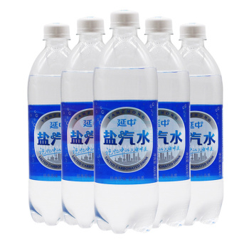 延中 延中盐汽水原味 600ml 20瓶  碳酸饮料\600ml