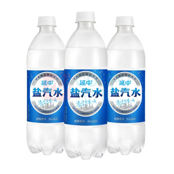 延中 延中盐汽水原味 600ml 20瓶  碳酸饮料\600ml
