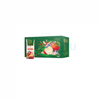 汇源 果汁礼盒 100%果汁苹果汁 200ml 12盒/箱