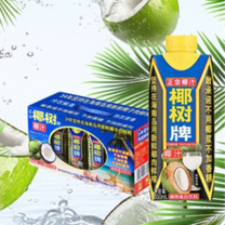 椰树 椰汁植物蛋白饮料 330ml*10盒
