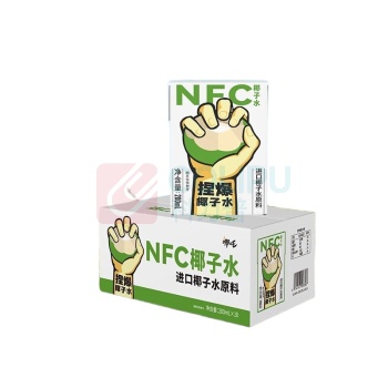 哪吒 NFC椰子水 200ml/盒 10盒/箱