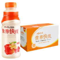 娃哈哈 Wahaha 营养快线 原味 500ml*15瓶