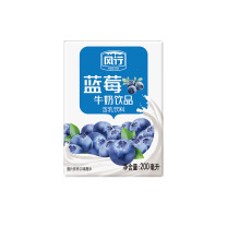 风行 蓝莓牛奶 200ml