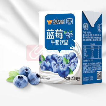 风行 蓝莓牛奶饮品 200mL*12盒*2箱