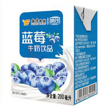 风行 蓝莓牛奶饮品 200mL*12盒*2箱