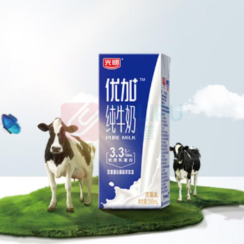 光明 光明 优加纯牛奶礼盒装 250ml*12 P0000017040 250ml*12