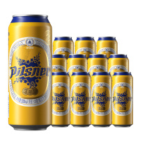青岛啤酒 TSINGTAO 皮尔森啤酒 10.5°P 500ml/罐 12罐/箱