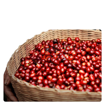 瑞幸咖啡 即溶咖啡茉莉花香茶咖 RX0060 2.3g*8颗