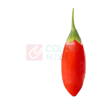 百瑞源 锁鲜枸杞 80g/瓶