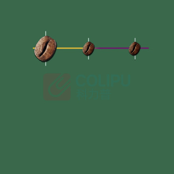 星巴克 Nespresso胶囊咖啡 轻度烘焙 10颗/盒