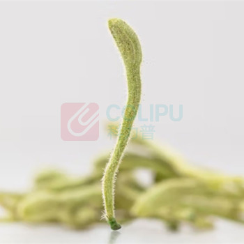 方家铺子 金银花茶 70g/罐