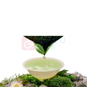艺福堂 EFUTON 绿茶 龙井 250g