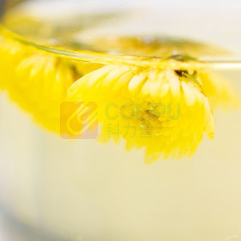 艺福堂 EFUTON 茶叶花草茶 菊博士胎菊花茶 80g  桐乡杭白菊