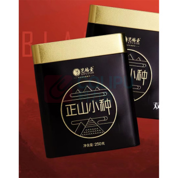 艺福堂 EFUTON 特级正山小种红茶 250g 