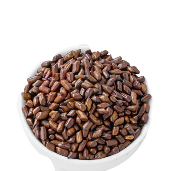 方家铺子 精选决明子茶 250g
