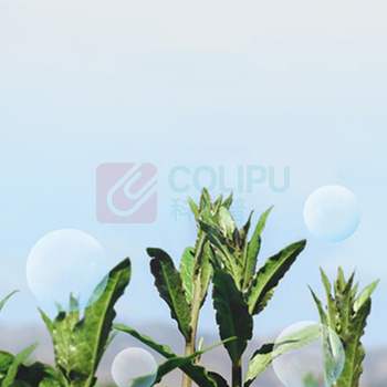 百瑞源 枸杞茶 月上兰山 54g