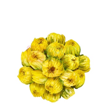 艺福堂 EFUTON 菊博士胎菊 80g/罐 24罐/箱