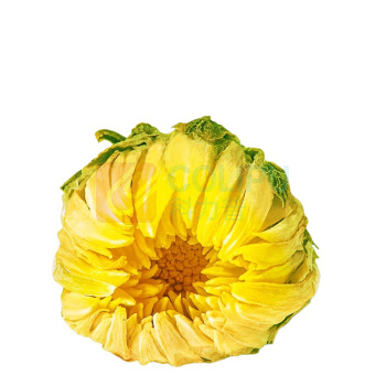 艺福堂 EFUTON 菊博士胎菊 80g/罐 24罐/箱