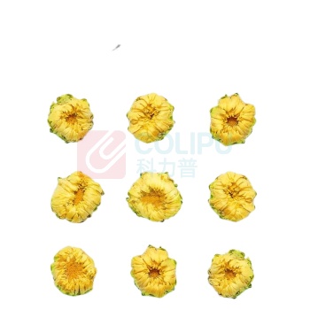 艺福堂 EFUTON 菊博士胎菊 80g/罐 24罐/箱