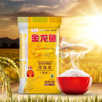 金龙鱼 米油组合 5kg+4L