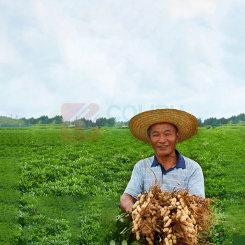初萃 CHUCUI 3L七星 初榨浓香花生油