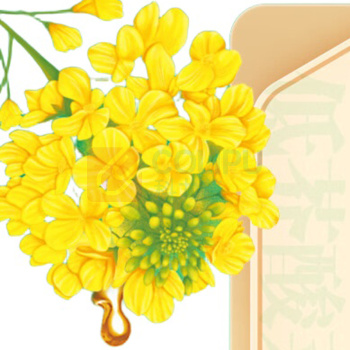 鲁花 低芥酸浓香菜籽油 1.6L/瓶