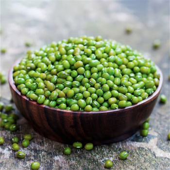 金龙鱼 杂粮豆类可发豆芽 打豆浆 煮绿豆汤 真空装 东北绿豆 1kg