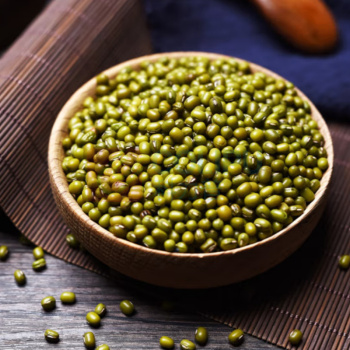 绿帝 GREEN KING 有机绿豆 490g