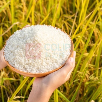 金龙鱼 稻花香大米 5kg