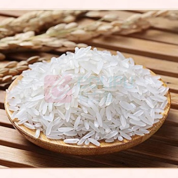 金龙鱼 臻选渔歌香米 5kg