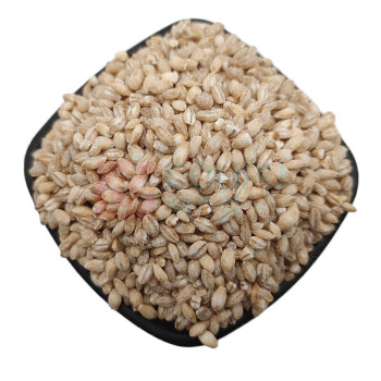 腾盛 五谷丰登礼盒 WGFD256 2.56kg