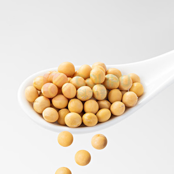 方家铺子 有机黄豆 1.3kg/罐