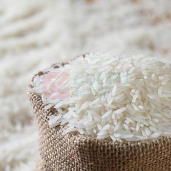 金龙鱼 御品巴蜀香米 5KG 大单议价