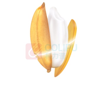 金龙鱼 乳玉皇妃 万福五常大米 5kg