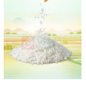 金龙鱼 乳玉皇妃 万福五常大米 5kg