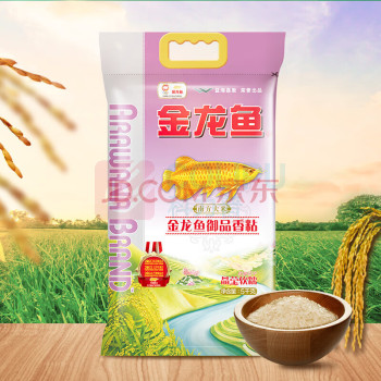 金龙鱼 黄花粘米 御品香粘 5KG