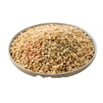 初萃 CHUCUI 低糖多用途 小麦粉 2.5kg/袋