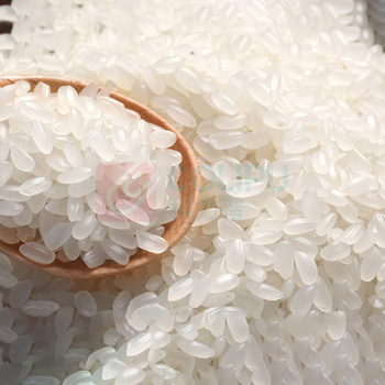 金龙鱼 御品珍珠米 5kg/袋