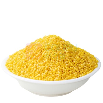 方家铺子 有机黄小米 500g 1斤
