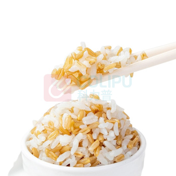 方家铺子 有机燕麦 450g/袋