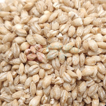 腾盛 五谷丰韵礼盒 2.24kg/盒