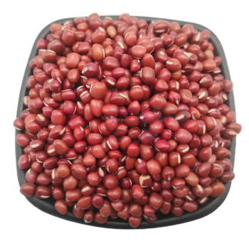 腾盛 谷物膳食礼盒 3.61kg/盒
