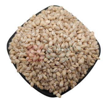 腾盛 五谷丰登礼盒 2.56kg/盒