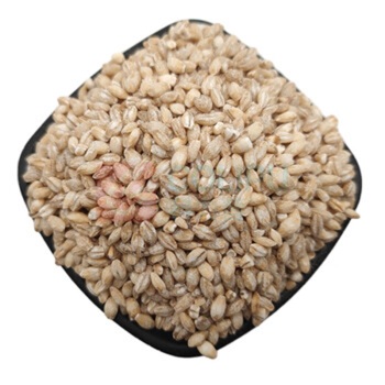 腾盛 鸿运当头 五谷杂粮四件套 800g