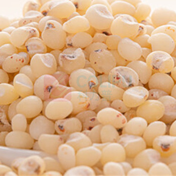 北纯 有机高粱米 1.5kg