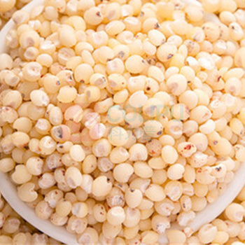 北纯 有机高粱米 1.5kg