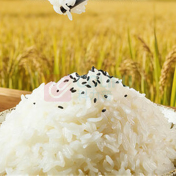 北纯 有机特等充氮五常大米 4kg (200g*20)