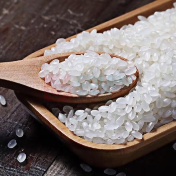 金龙鱼 雪粳小町 5KG 