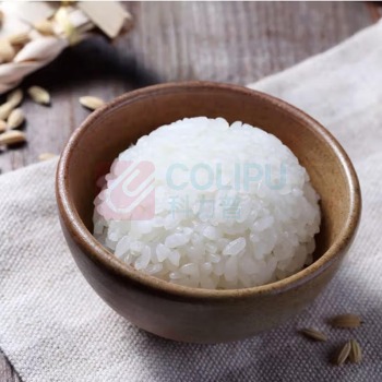 金龙鱼 雪粳小町 5KG 