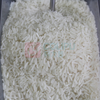 力源 大米 茉莉香米 5kg  真空包装